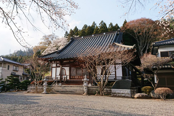 曹洞宗宝全寺と桜