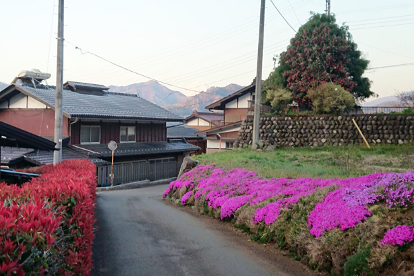 隣の方（親戚）の土手