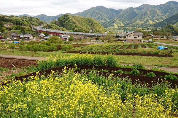 ももくら農園・南ゾーンから中央自動車道を望む