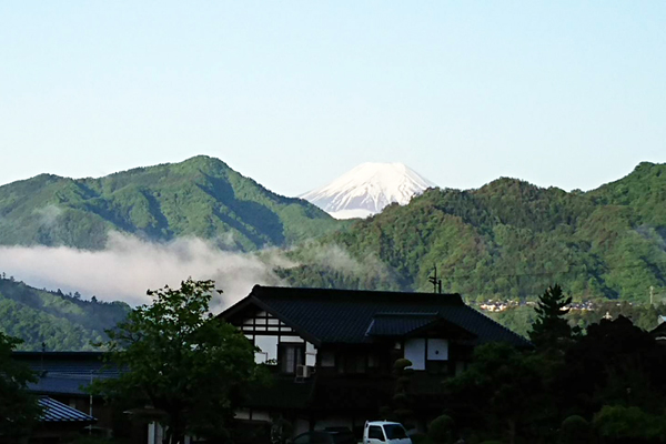 ももくら農園東ゾーンから富士山を眺望