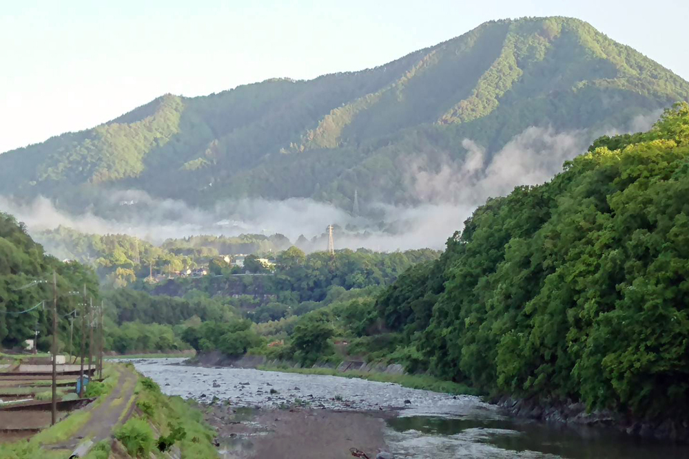 桂川からももくら農園方面