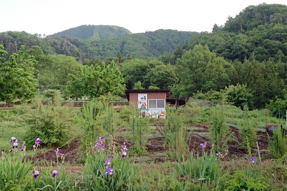 桃源郷で桃太郎の地