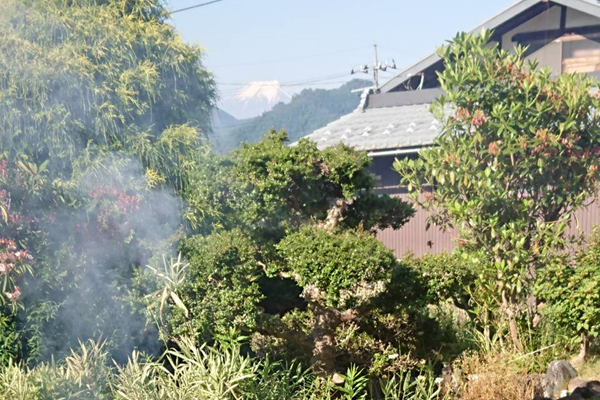 富士山を見ながら、舌つづみ