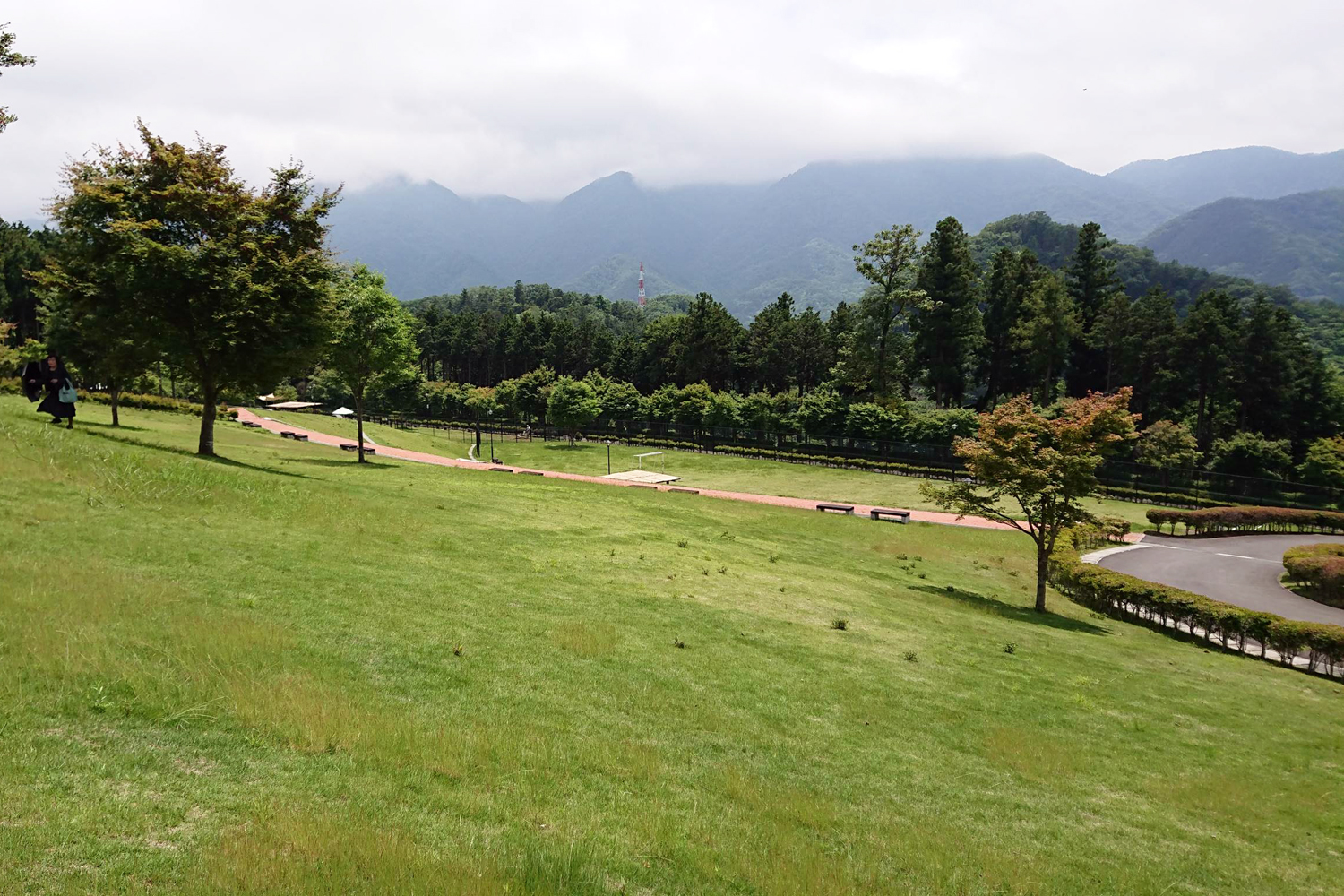 桂川ウエルネスパーク中央ゾーンの芝生です