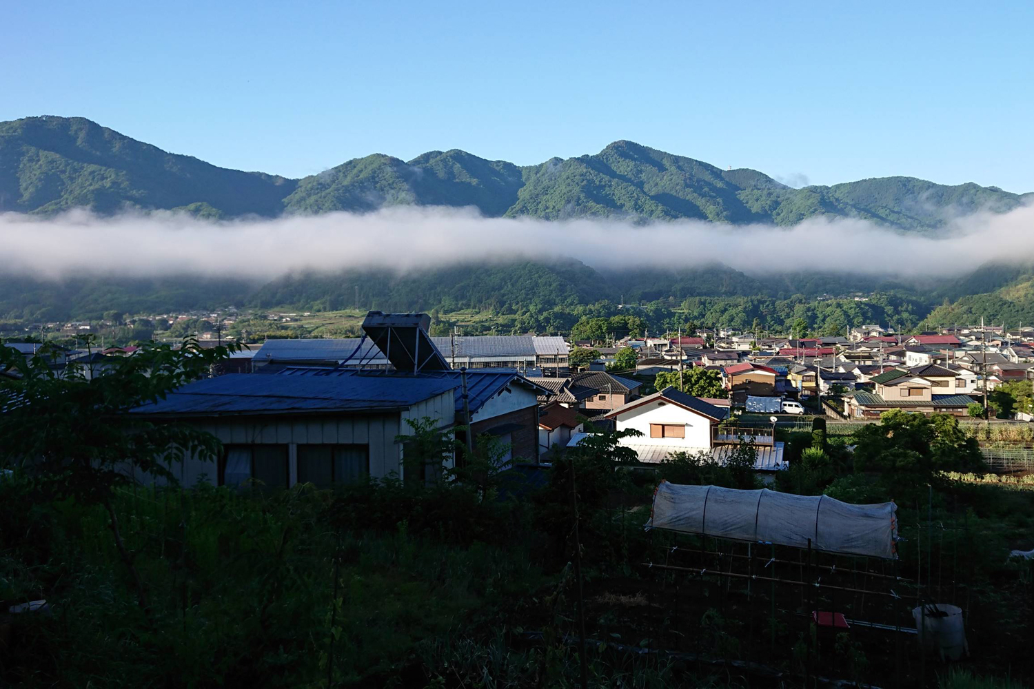 雲海の歩道?